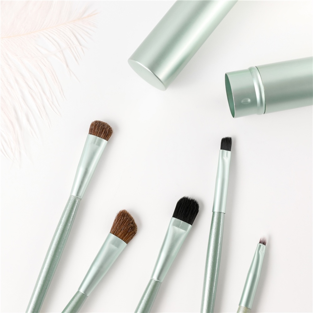Mini Travel Makeup Brush and Case